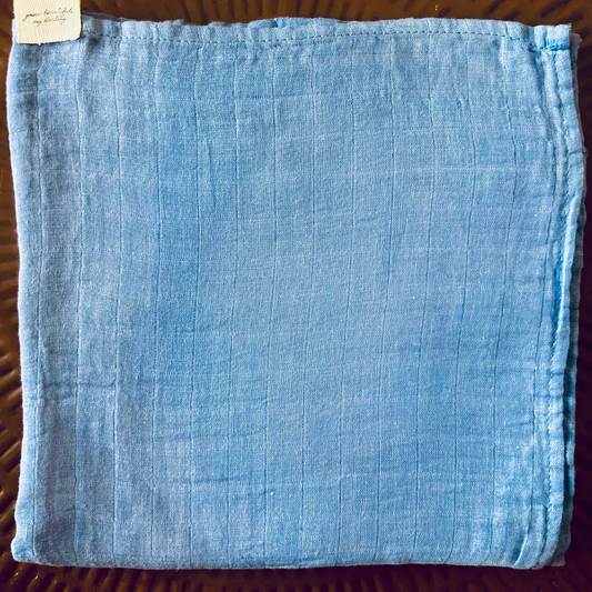 bluey swaddle
