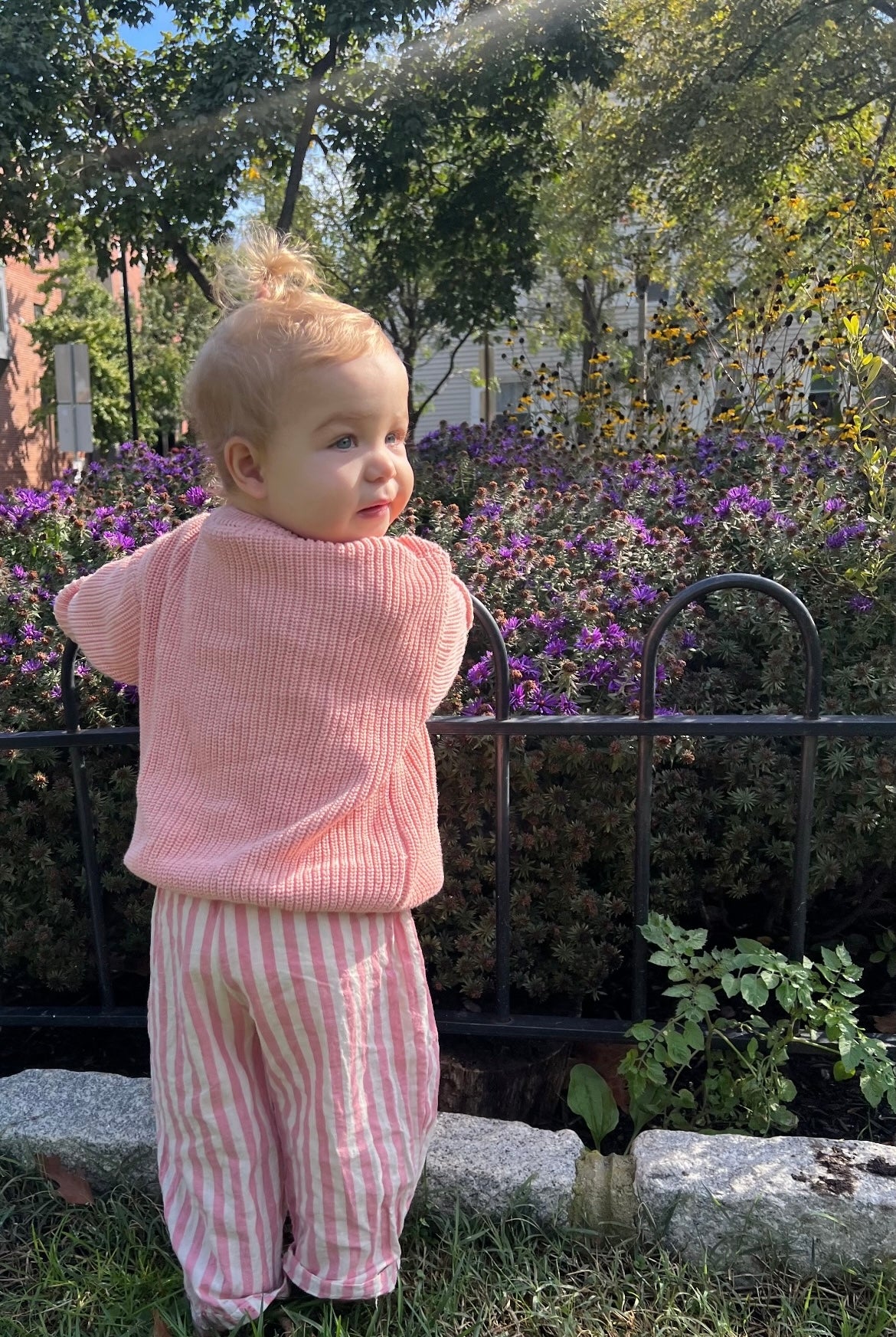 pink strawberry stride pants