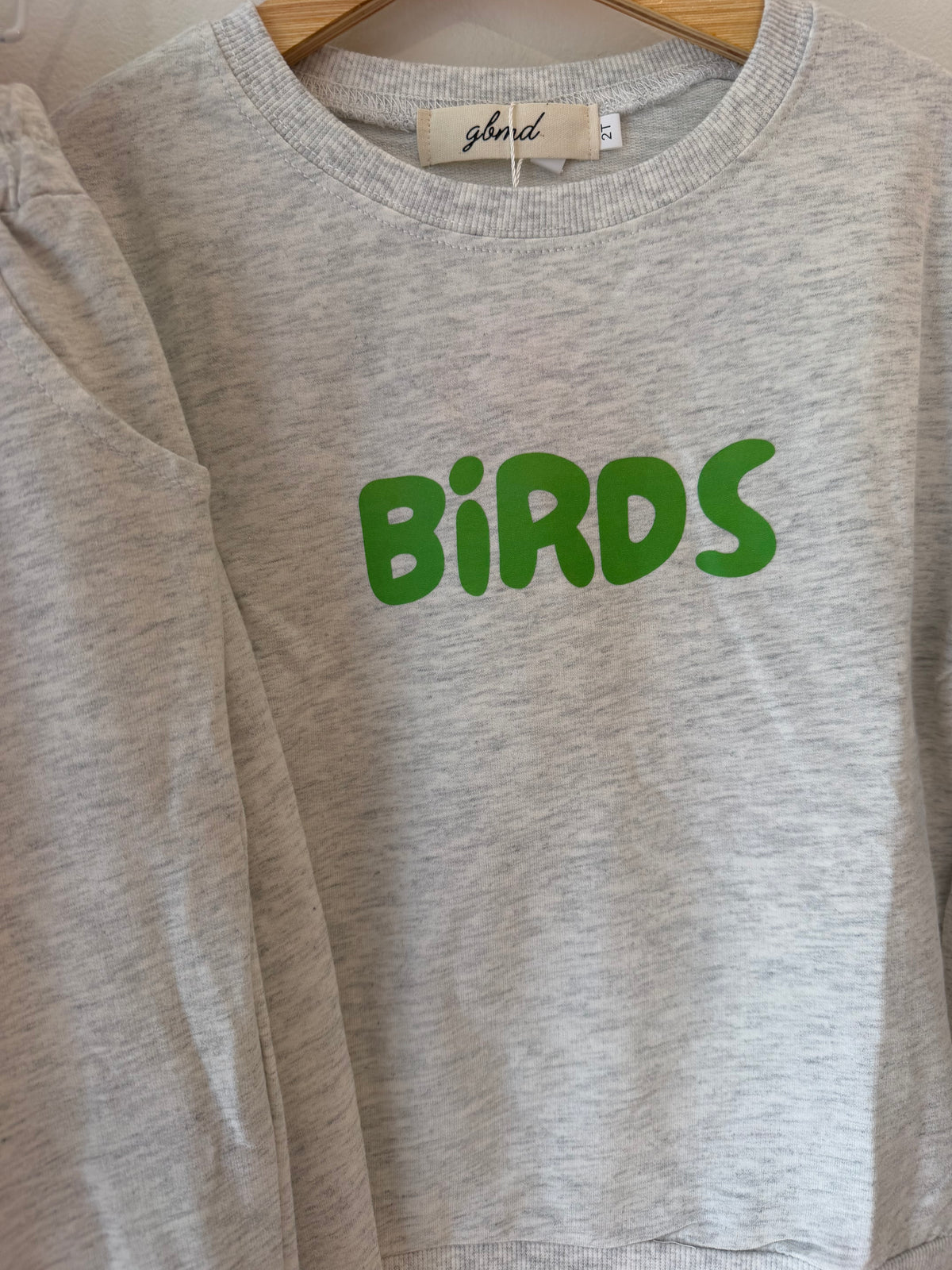 birds grey sweatshirt